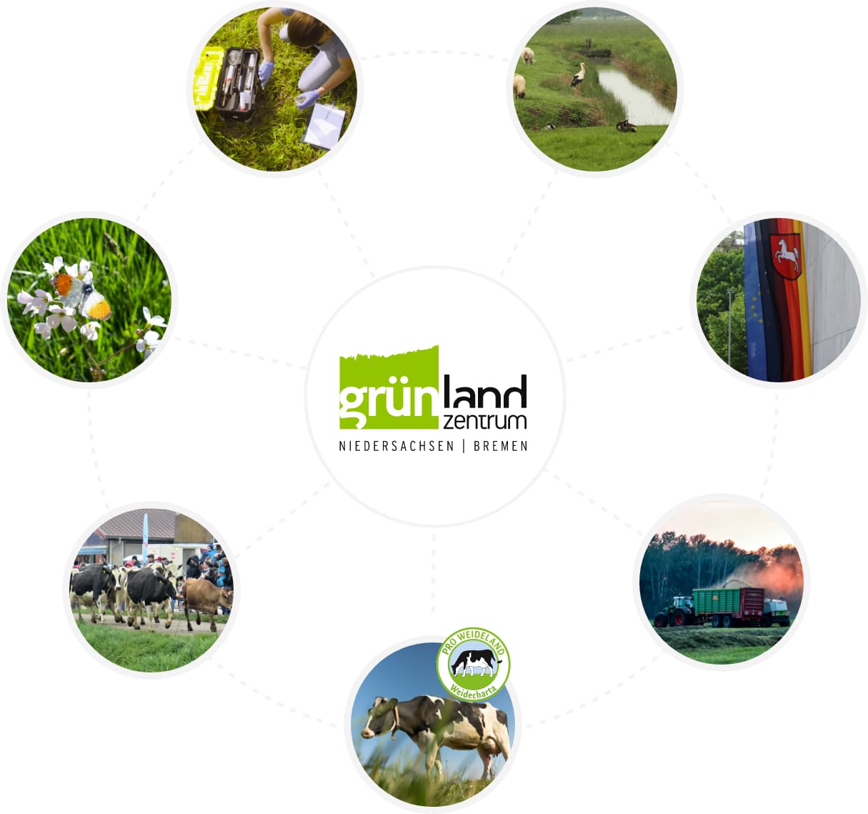 Grafik gruenlandzentrum