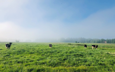 Klimaschutz durch Moorschutz