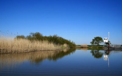 Ergebnisse des SWAMPS Projektes
