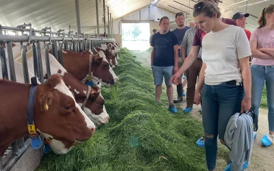 Junglandwirte auf Exkursion in den Niederlanden