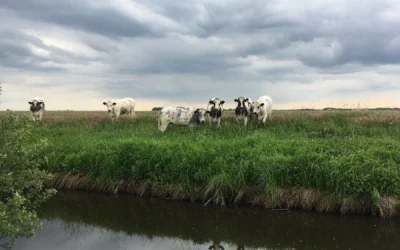 Themenforum Moorklimaschutz und Landwirtschaft