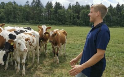 Weidehaltung in der Wesermarsch – mit Landwirt Theis Jansen