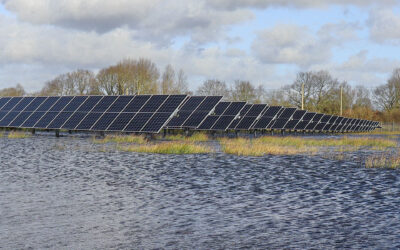 Besuch Klimafarm und Solarpark auf Moor