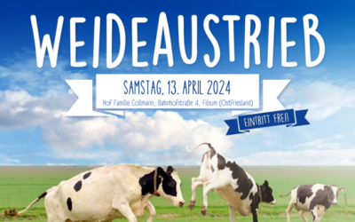 Weideaustrieb 2024