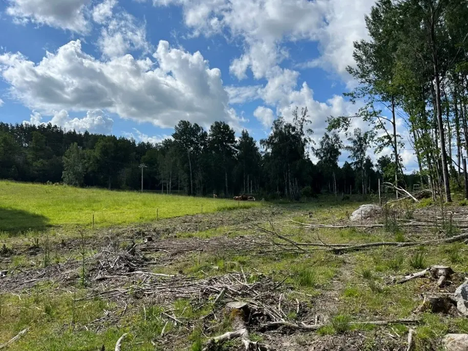Seminatural Grassland_1