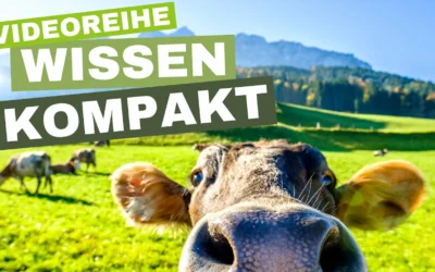 Wissen kompakt