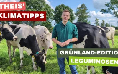 Leguminosen als Maßnahme zum Klimaschutz