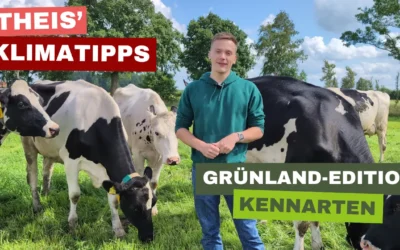 Extensivierung und Kennarten im Grünland