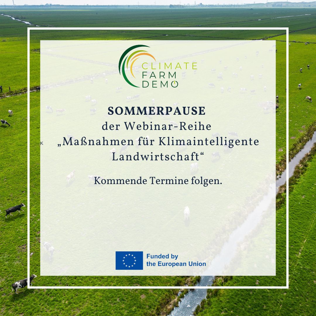 Sommerpause 2025 Webinare