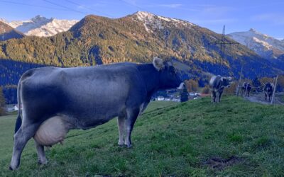 Exkursion nach Südtirol