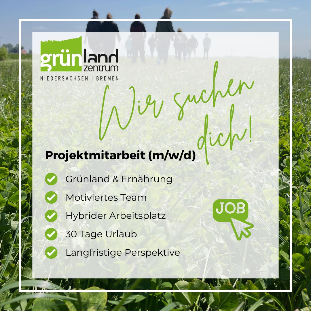 Stellenanzeige Projektmitarbeit