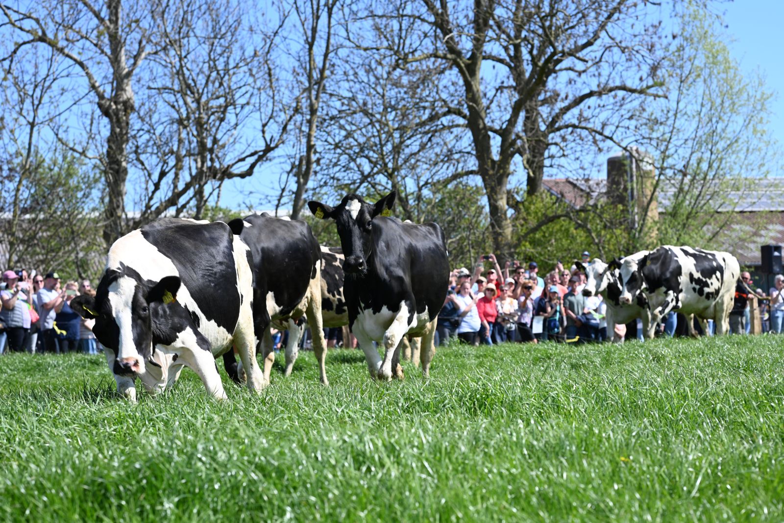 ProWeideland_2026 (132 von 96)_web