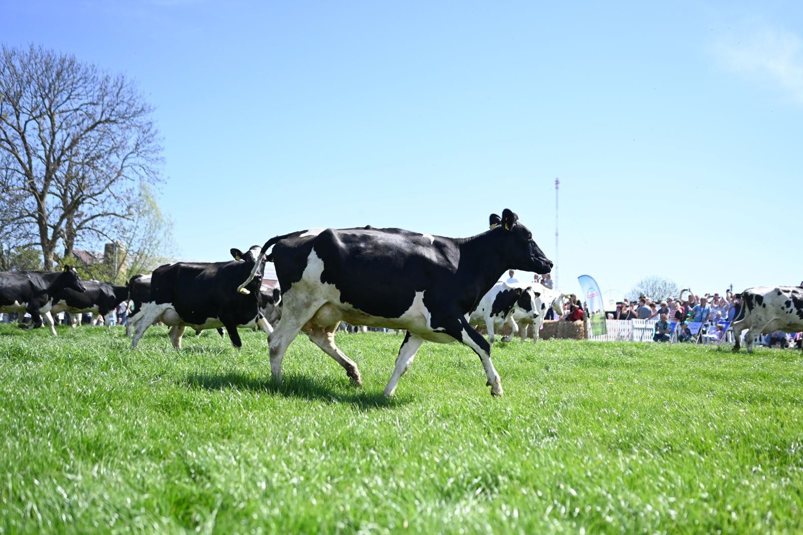 ProWeideland_2026 (42 von 68)_web