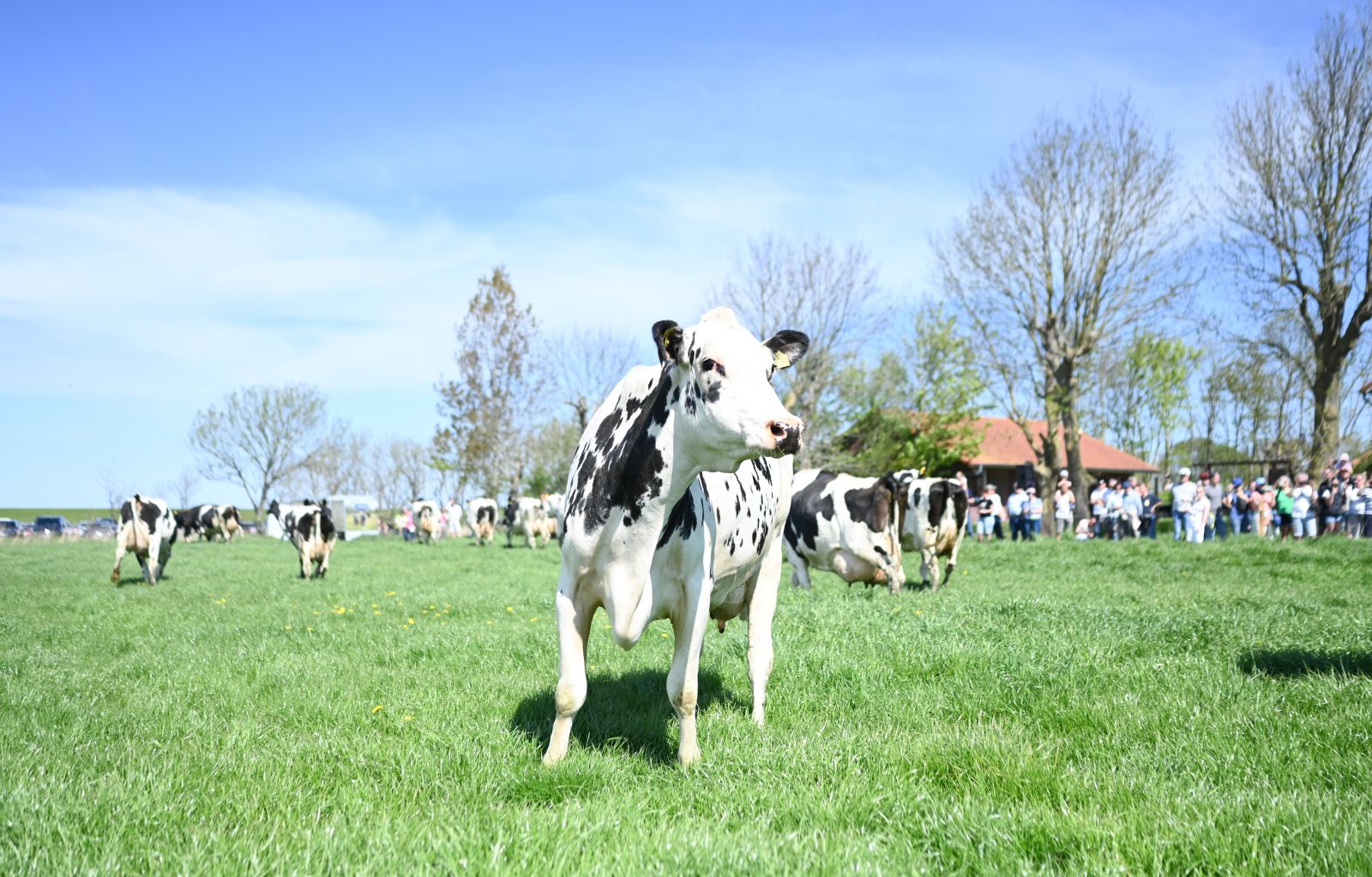 ProWeideland_2026 (43 von 68)_web