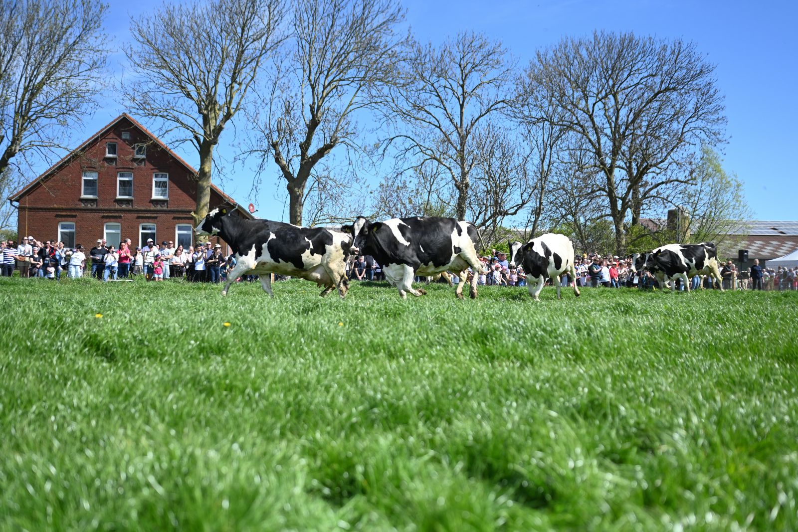 ProWeideland_2026 (44 von 68)_web