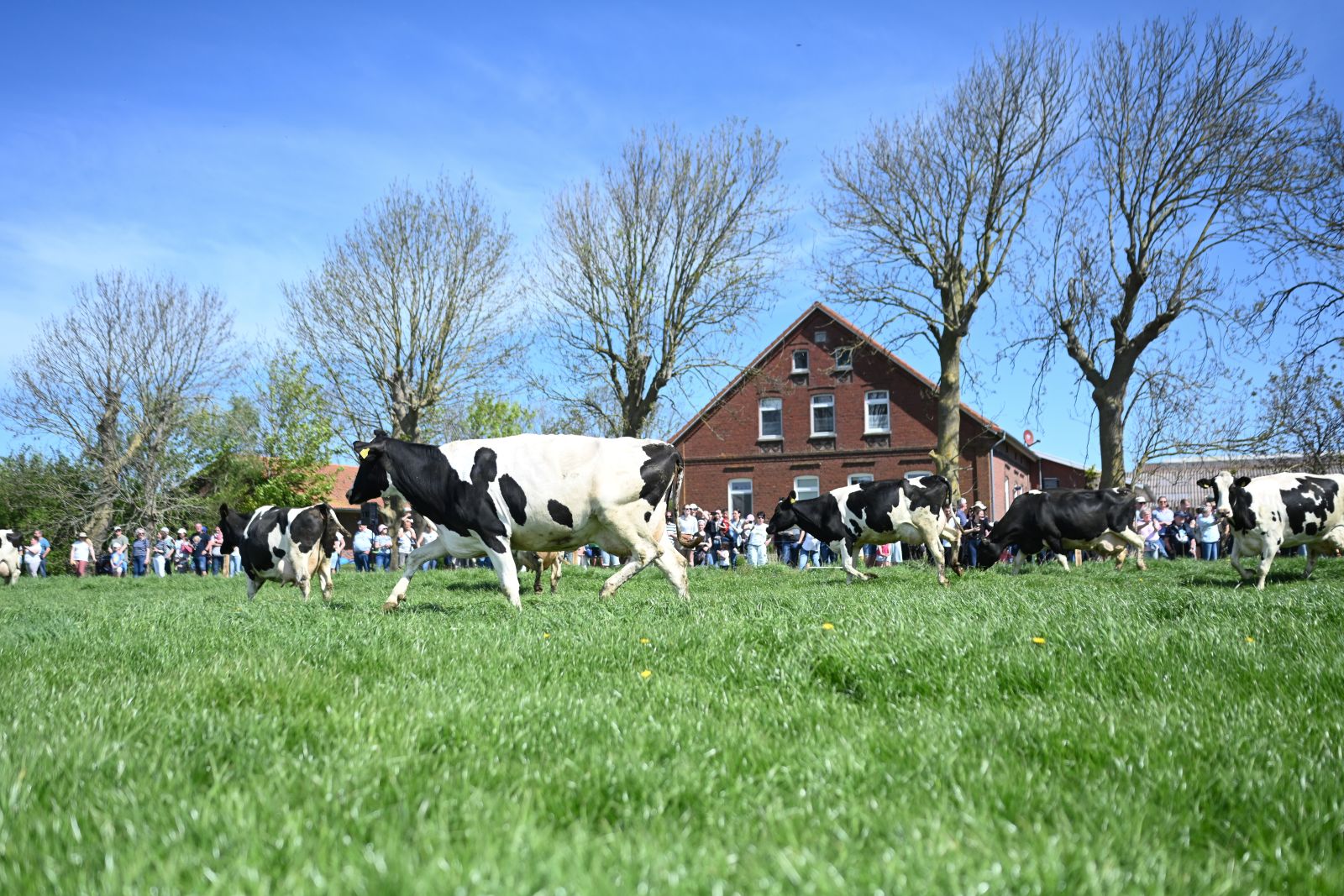 ProWeideland_2026 (45 von 68)_weg