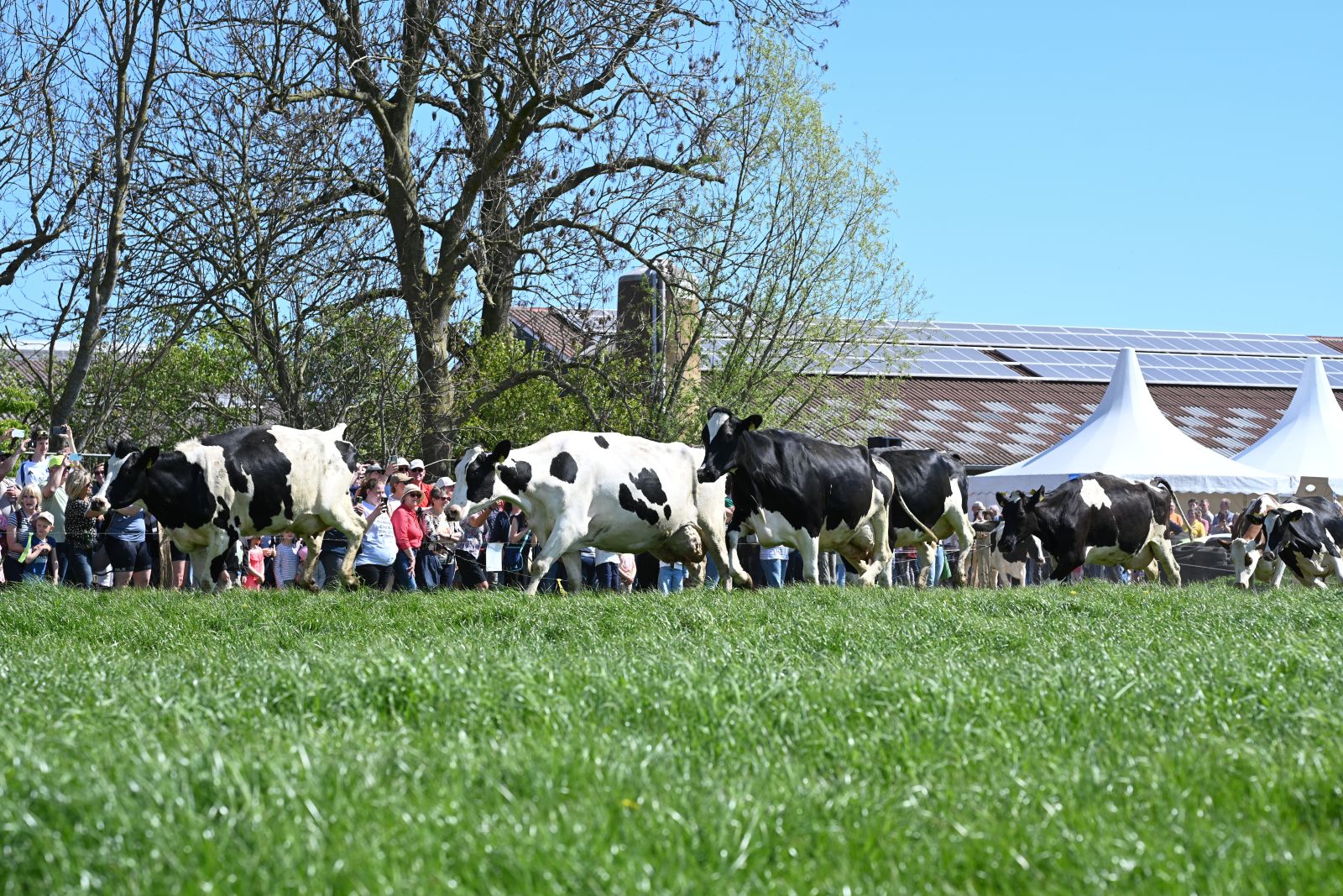 ProWeideland_2026 (49 von 68)_bea