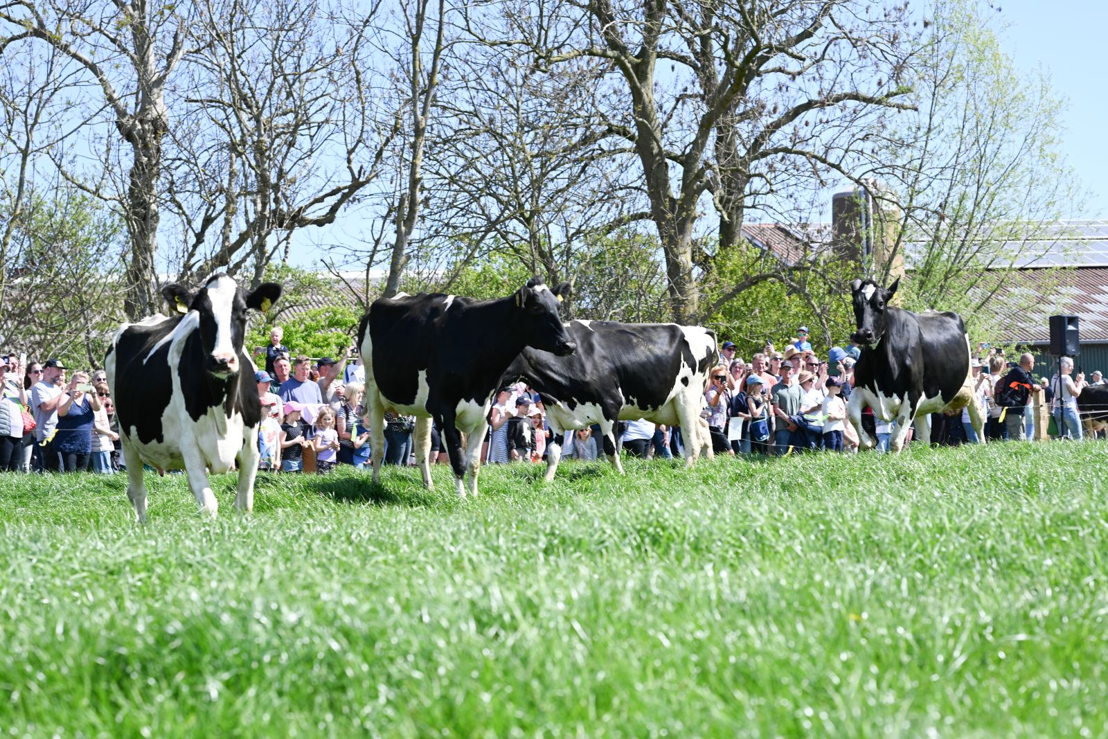 ProWeideland_2026 (51 von 68)_web