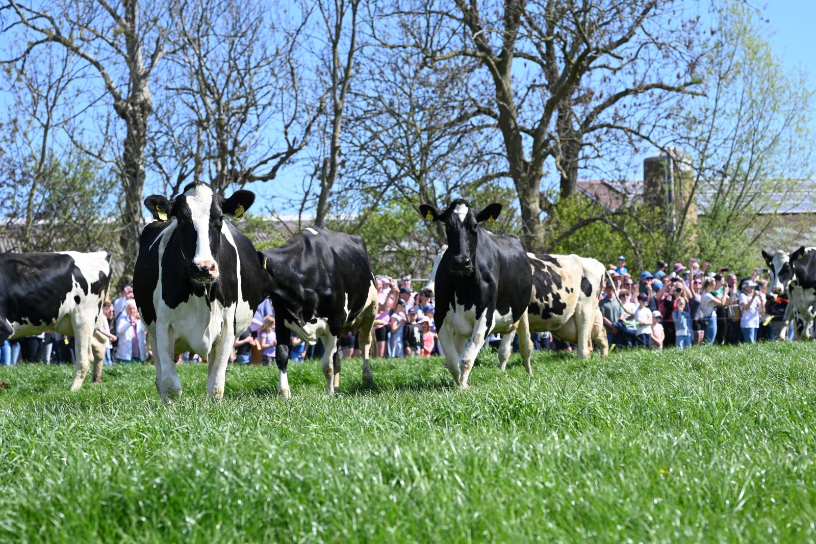 ProWeideland_2026 (52 von 68)_web