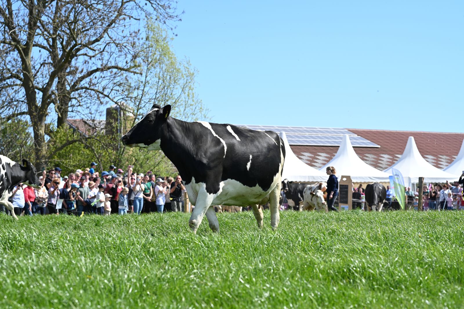 ProWeideland_2026 (53 von 68)_web