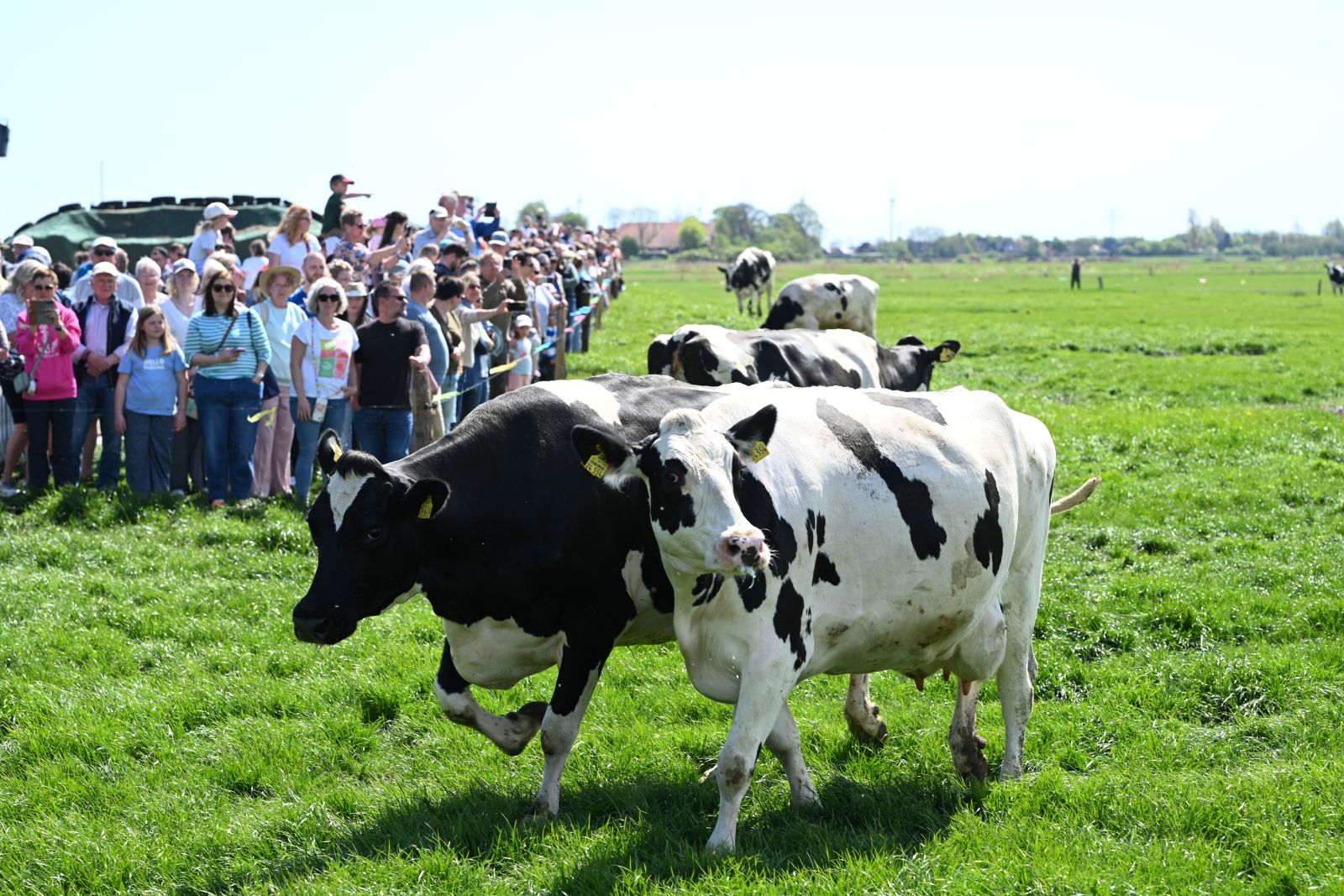 ProWeideland_2026 (68 von 68)_web